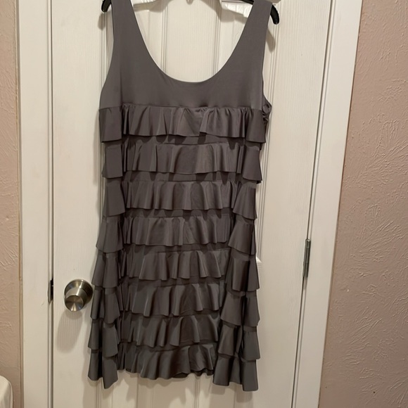 Metallic Silver Ruffle Dress - Picture 4 of 6